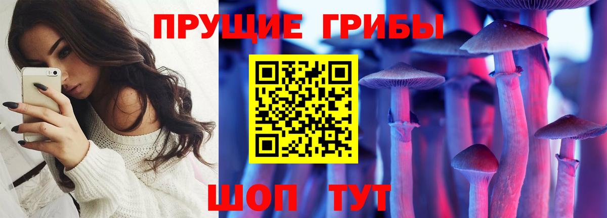 Псилоцибиновые грибы MAGIC MUSHROOMS Курчатов